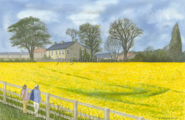 204 - Countryside scene,  Prestwick, Northumbria